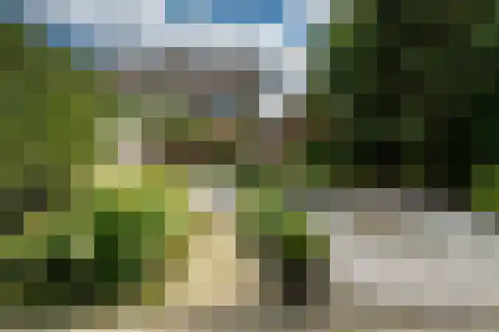 Pompeblêdstrjitte 7 Stiens thumbnail 14