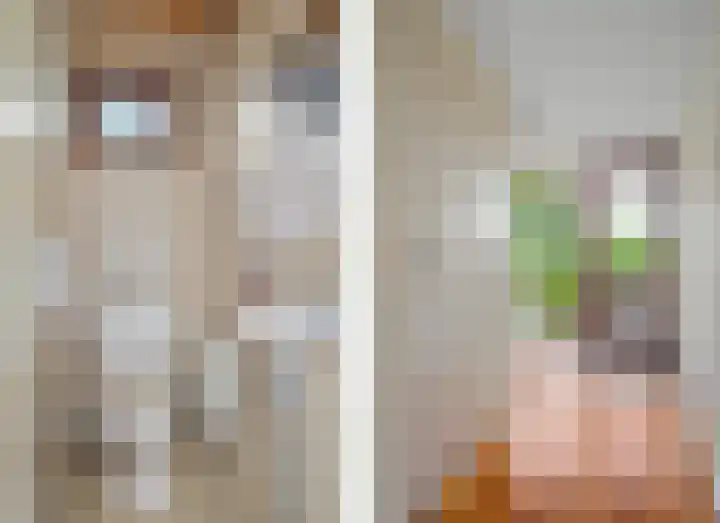 Pompeblêdstrjitte 7 Stiens thumbnail 15
