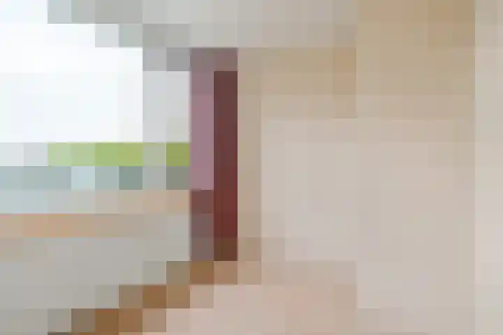 Pompeblêdstrjitte 7 Stiens thumbnail 21