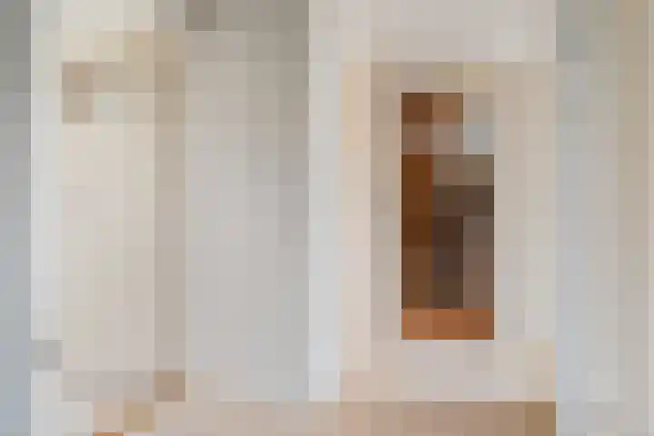 Pompeblêdstrjitte 7 Stiens thumbnail 29