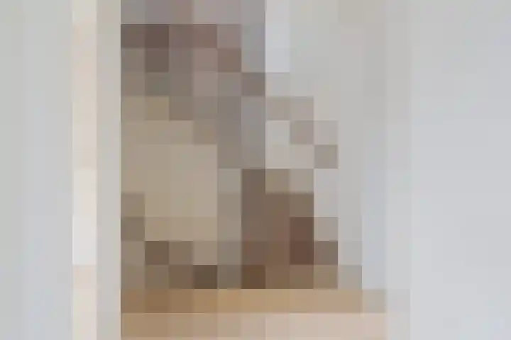 Pompeblêdstrjitte 7 Stiens thumbnail 30
