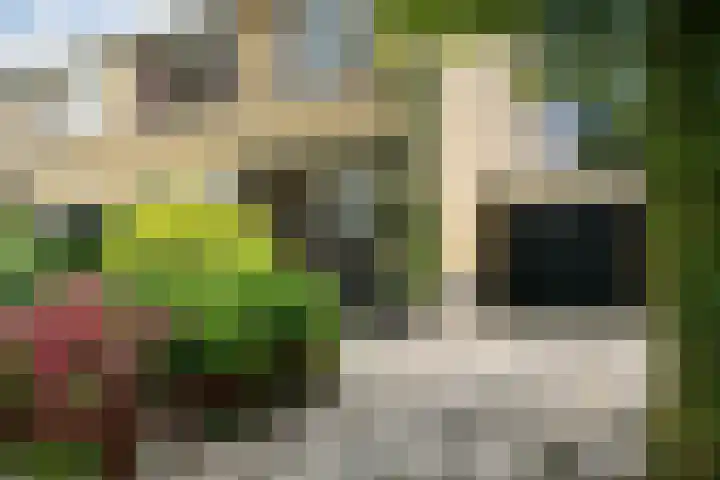 Pompeblêdstrjitte 7 Stiens thumbnail 35