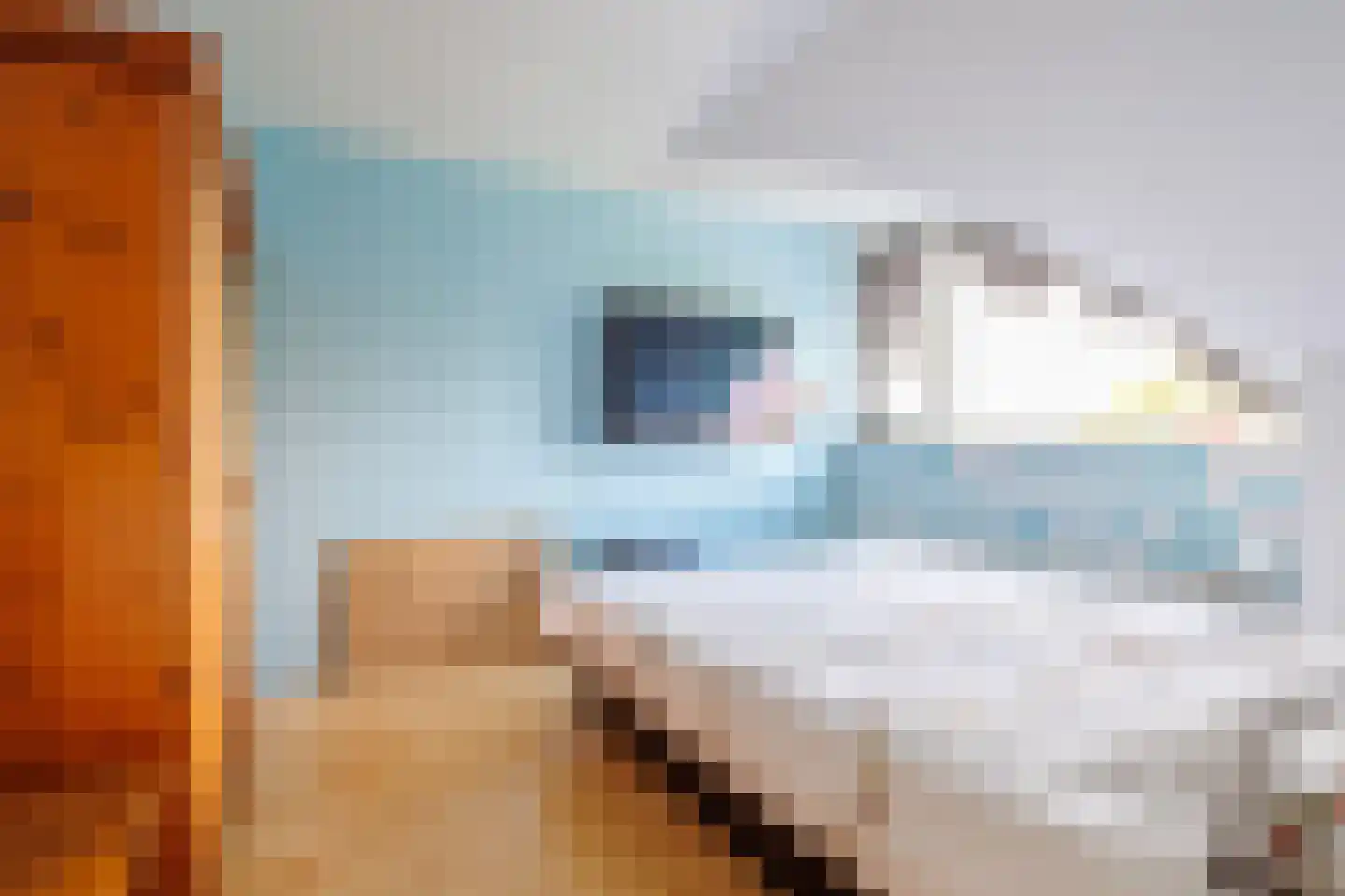 Pompejus 31 Wijk bij Duurstede thumbnail 31