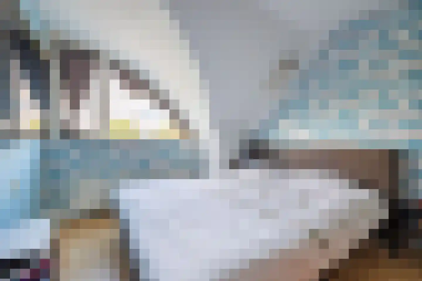 Pompejus 31 Wijk bij Duurstede thumbnail 32
