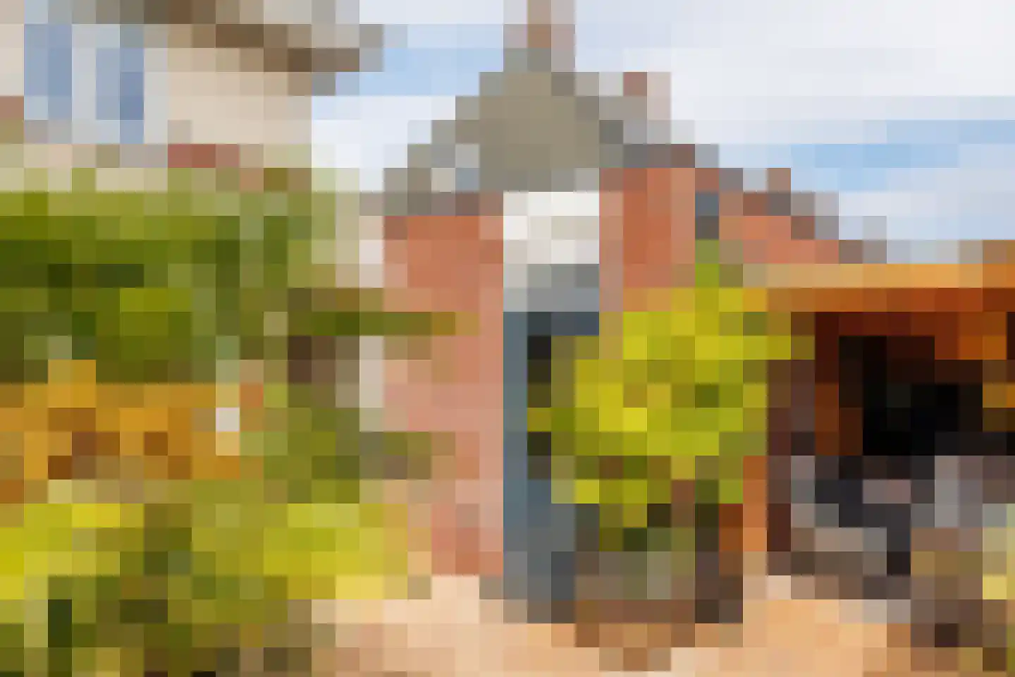 Pompejus 31 Wijk bij Duurstede thumbnail 38