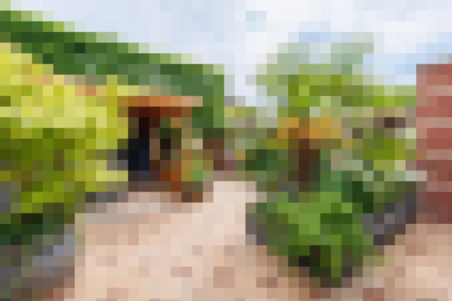Pompejus 31 Wijk bij Duurstede thumbnail 39