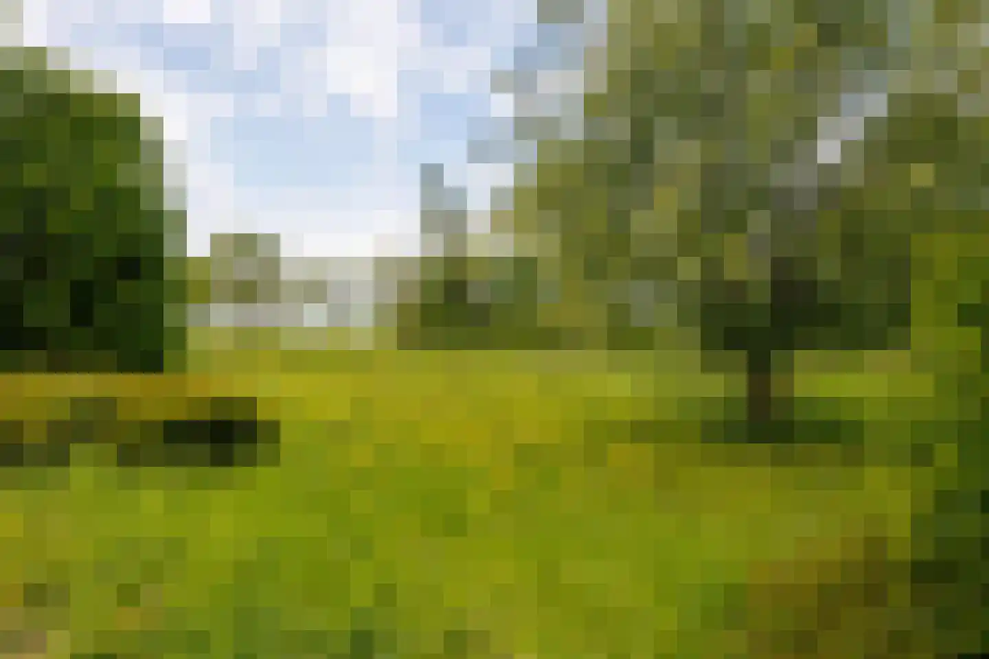 Pompejus 31 Wijk bij Duurstede thumbnail 48