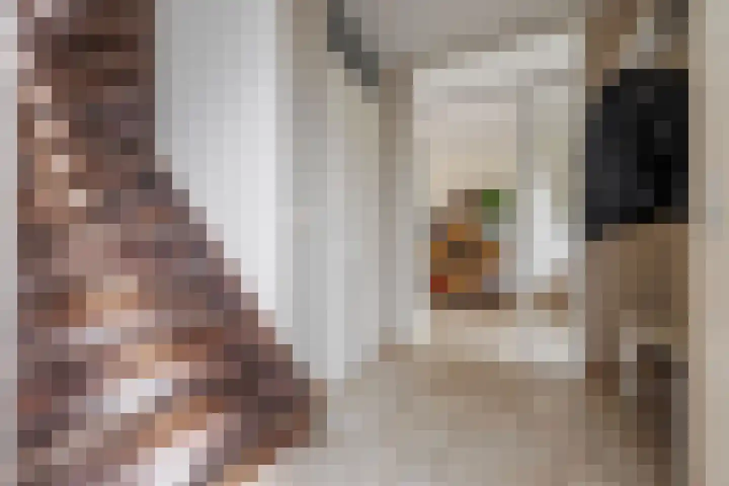 Pompejus 31 Wijk bij Duurstede thumbnail 6