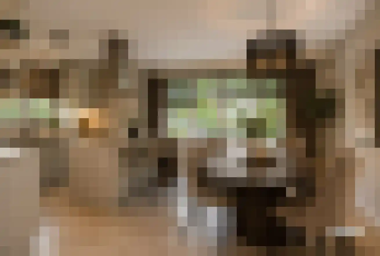 Pompejus 9 Wijk bij Duurstede thumbnail 11