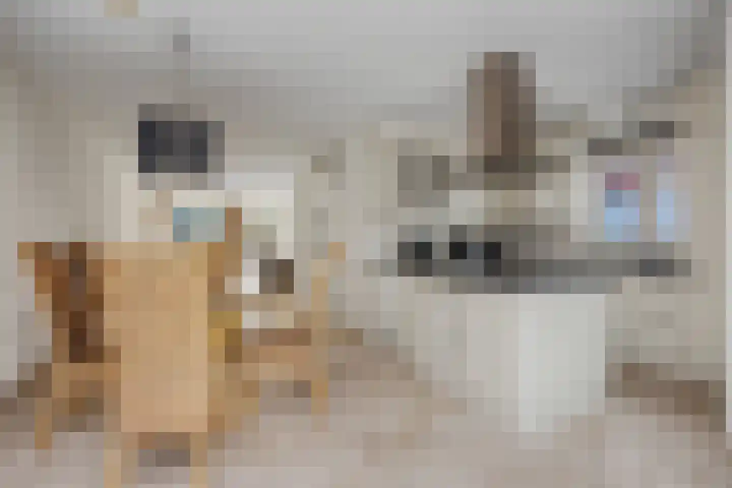 Pompejus 9 Wijk bij Duurstede thumbnail 14
