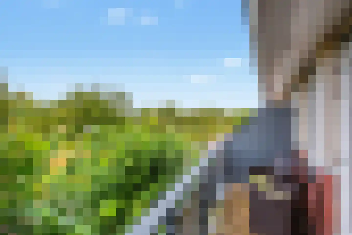 Pompejus 9 Wijk bij Duurstede thumbnail 33