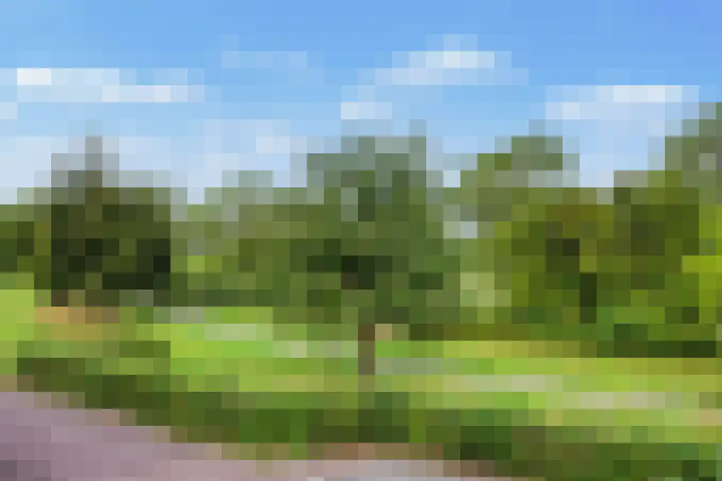Pompejus 9 Wijk bij Duurstede thumbnail 34