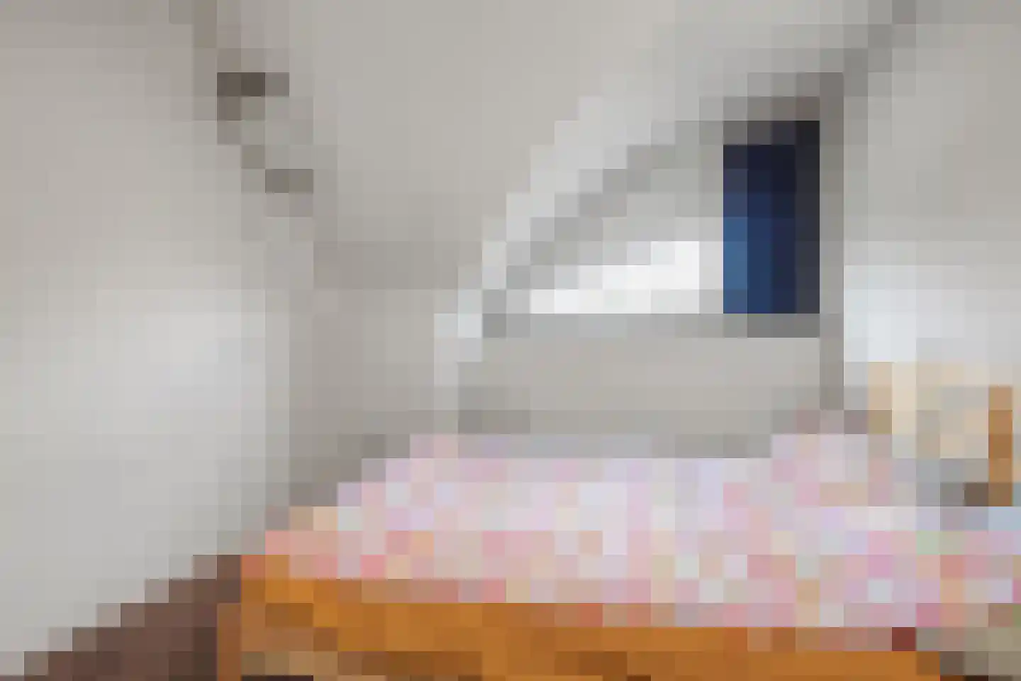 Pompejus 9 Wijk bij Duurstede thumbnail 49