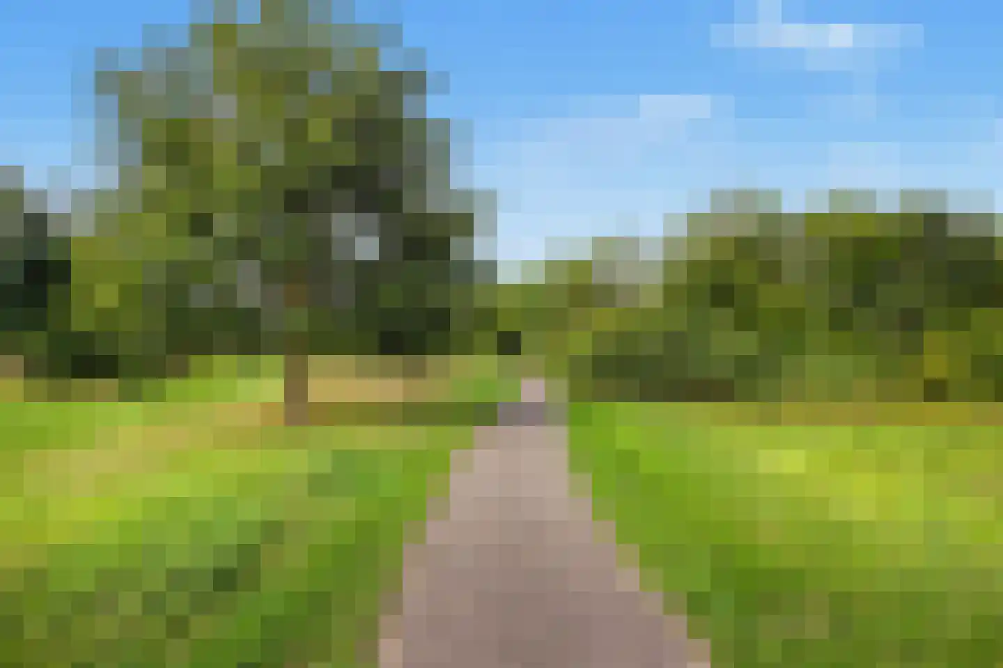 Pompejus 9 Wijk bij Duurstede thumbnail 60