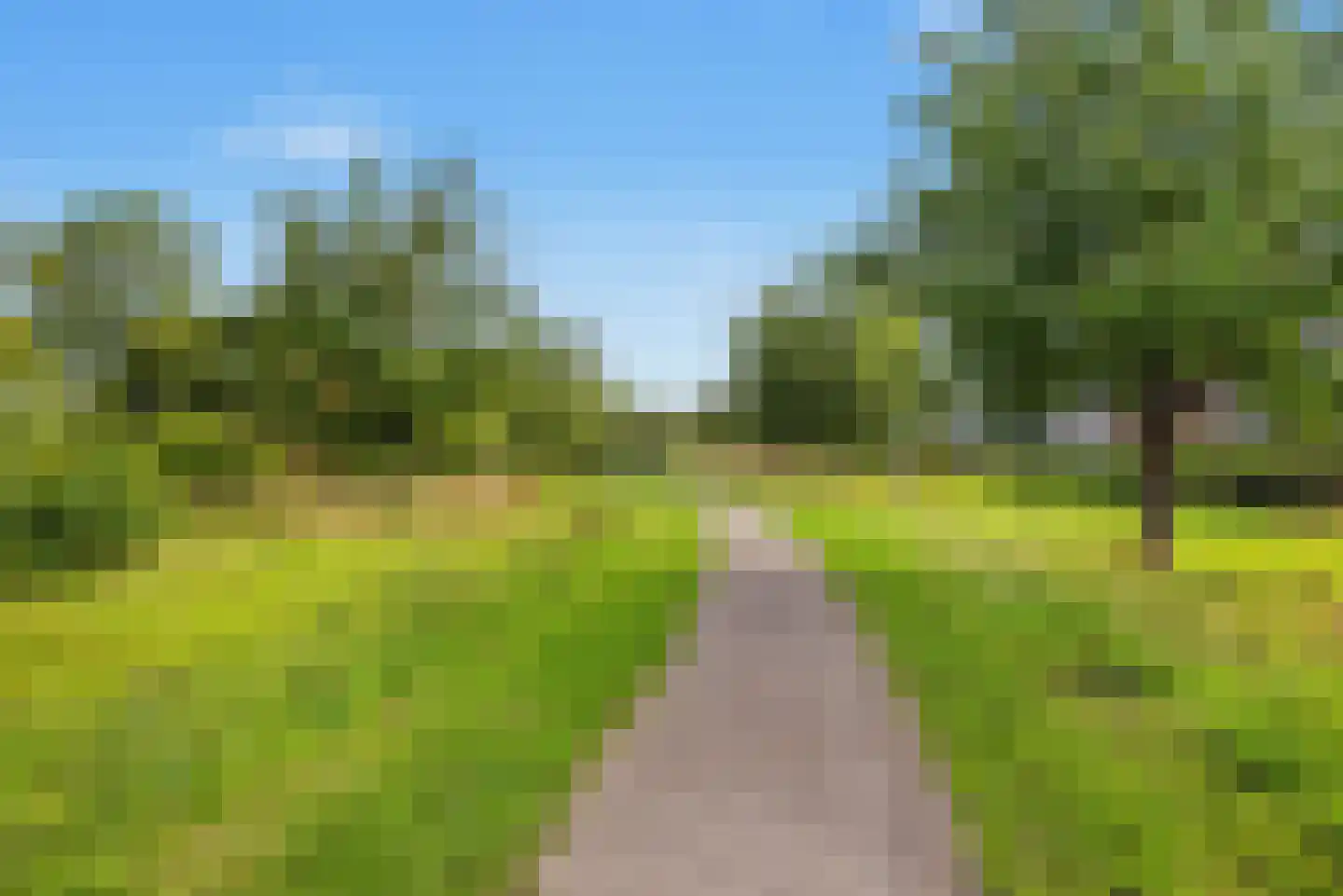 Pompejus 9 Wijk bij Duurstede thumbnail 61
