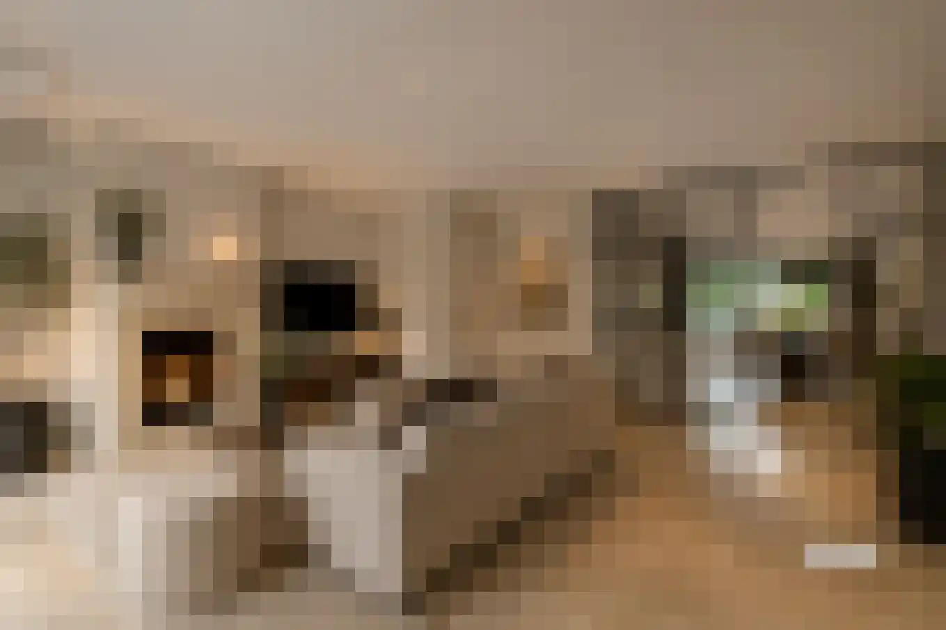 Pompejus 9 Wijk bij Duurstede thumbnail 8