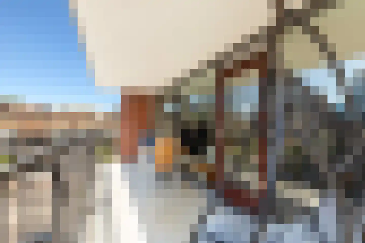 Pompenburg 114 Rotterdam thumbnail 21
