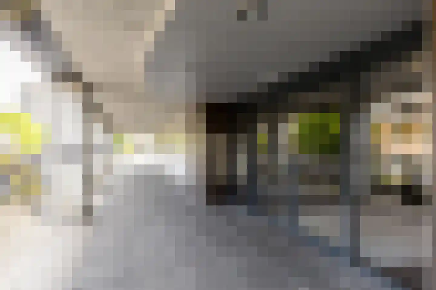 Pompenburg 234 Rotterdam thumbnail 7