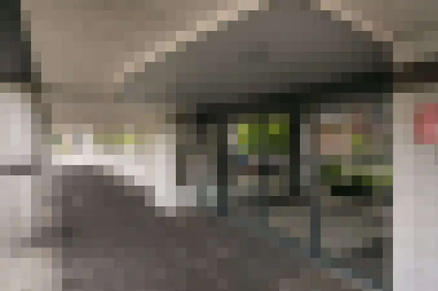 Pompenburg 270 Rotterdam thumbnail 5