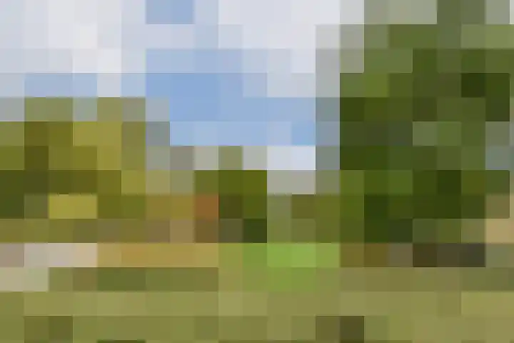 Pompenburg 274 Rotterdam thumbnail 26