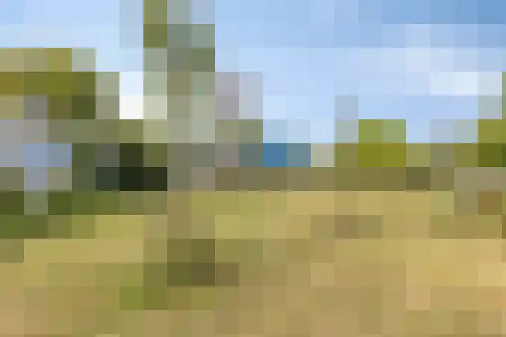 Pompenburg 346 Rotterdam thumbnail 25