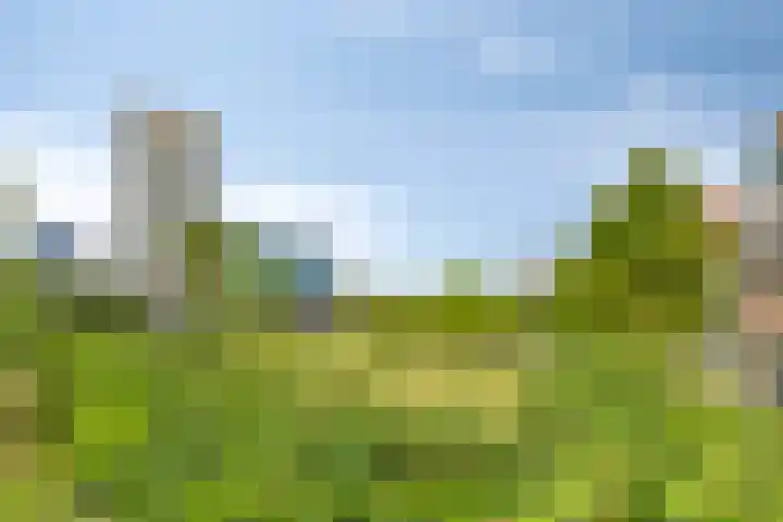 Pompenburg 346 Rotterdam thumbnail 26