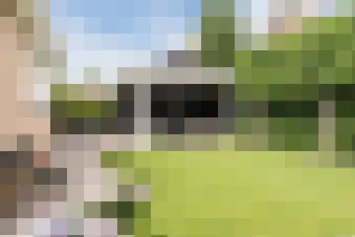 Pompendreef 1 Sterksel thumbnail 33