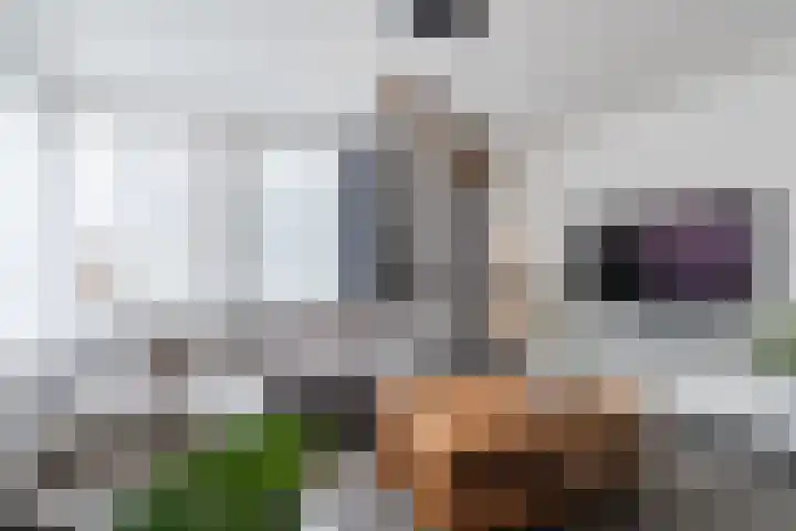 Pompendreef 1 Sterksel thumbnail 6
