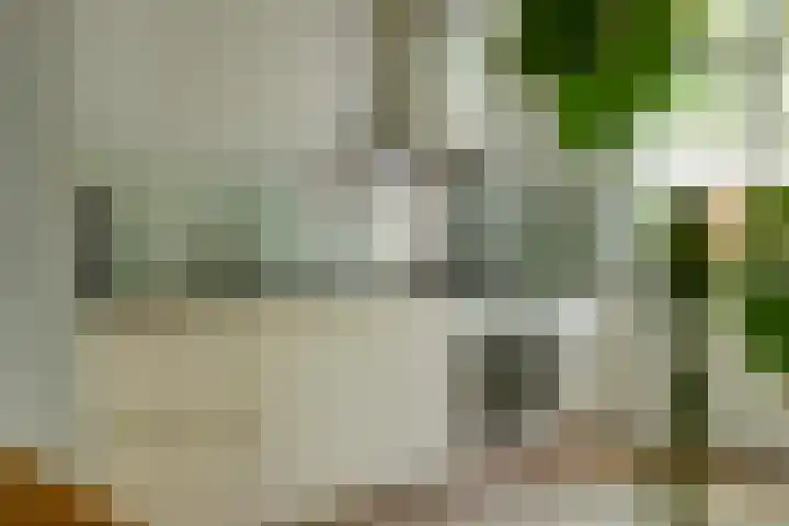 Pompenmaker 13 Beuningen Gld thumbnail 17