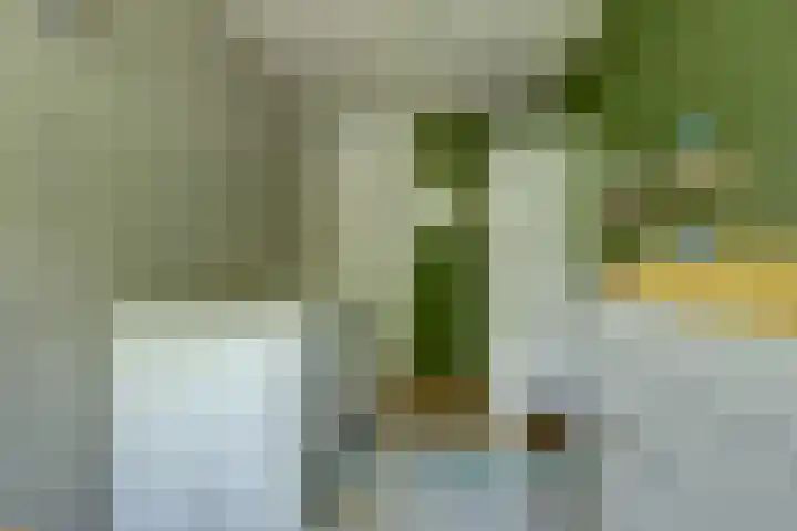 Pompenmaker 13 Beuningen Gld thumbnail 26
