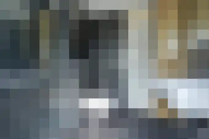 Pompenmaker 13 Beuningen Gld thumbnail 32
