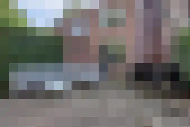 Pompenmaker 13 Beuningen Gld thumbnail 37