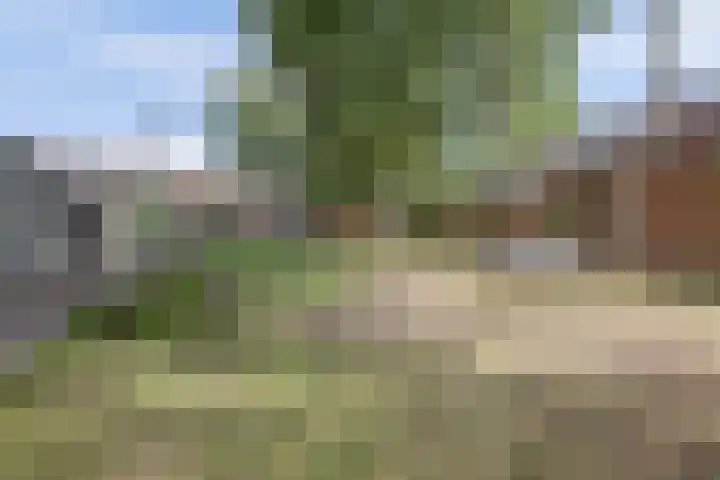 Pompenmaker 13 Beuningen Gld thumbnail 43