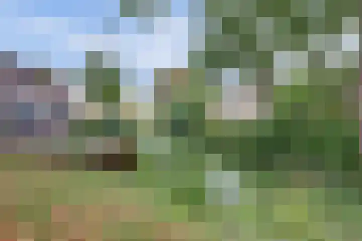 Pompenmaker 13 Beuningen Gld thumbnail 44