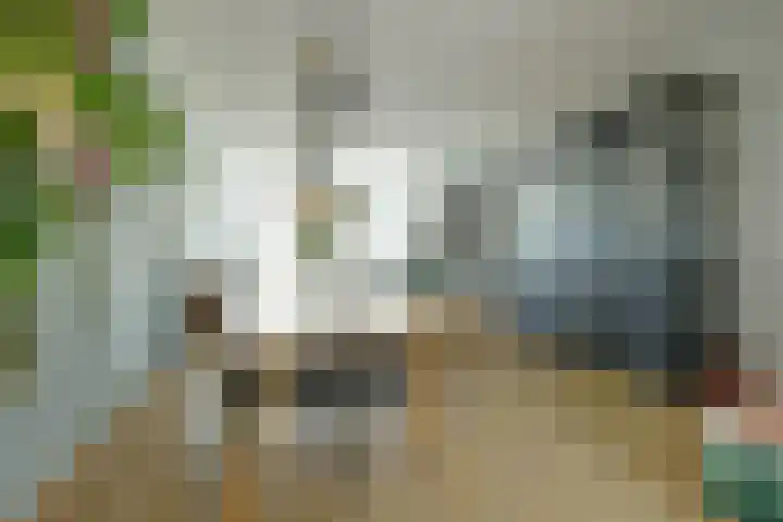 Pompenmaker 13 Beuningen Gld thumbnail 7