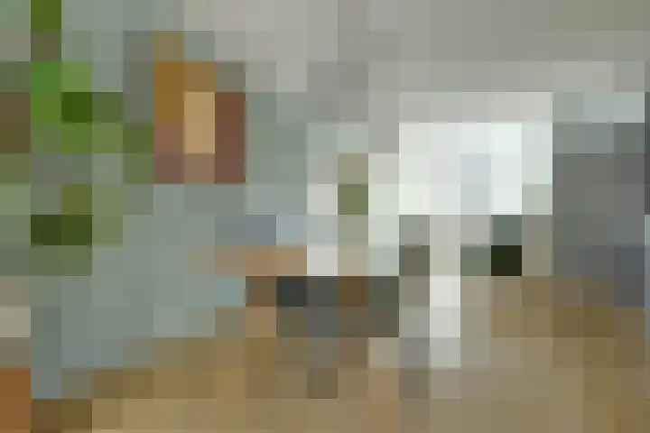 Pompenmaker 13 Beuningen Gld thumbnail 8