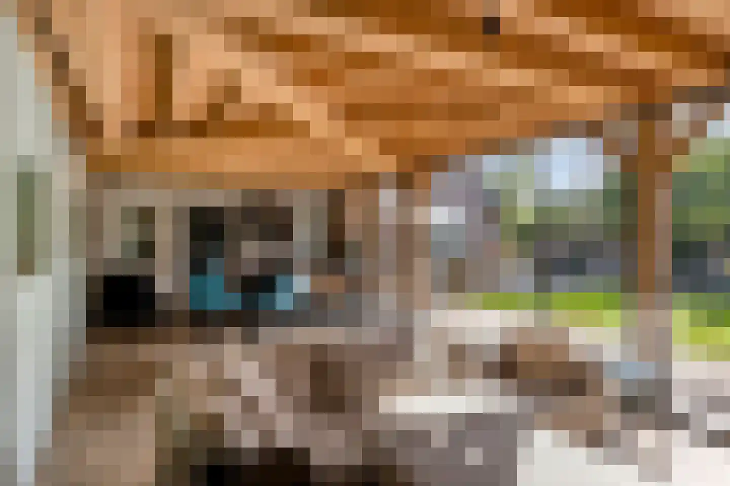 Pompenmaker 19 Oost West en Middelbeers thumbnail 30
