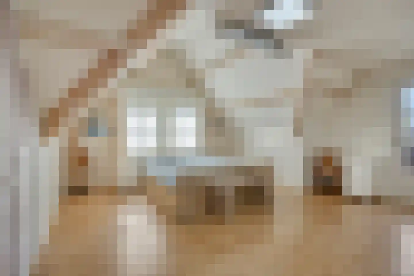 Pompenmaker 19 Oost West en Middelbeers thumbnail 33