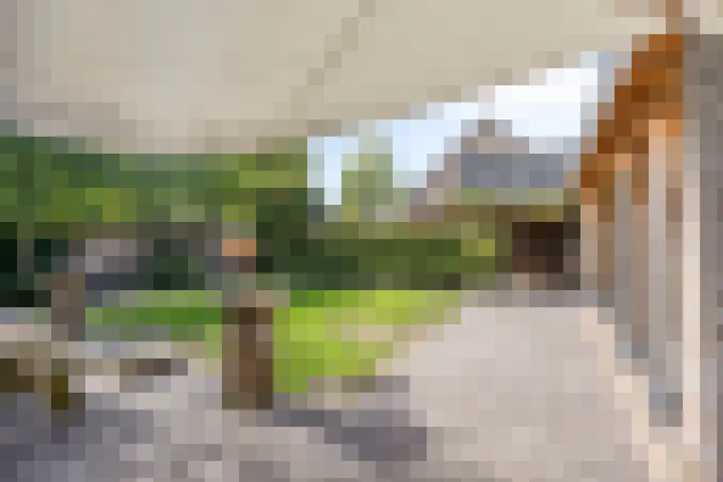 Pompenmaker 19 Oost West en Middelbeers thumbnail 45