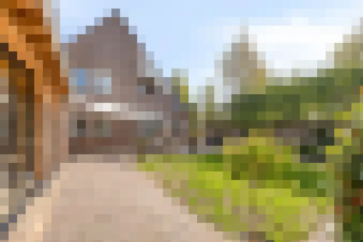 Pompenmaker 19 Oost West en Middelbeers thumbnail 47
