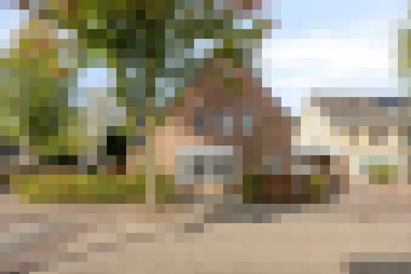 Pompenmaker 19 Oost West en Middelbeers thumbnail 50