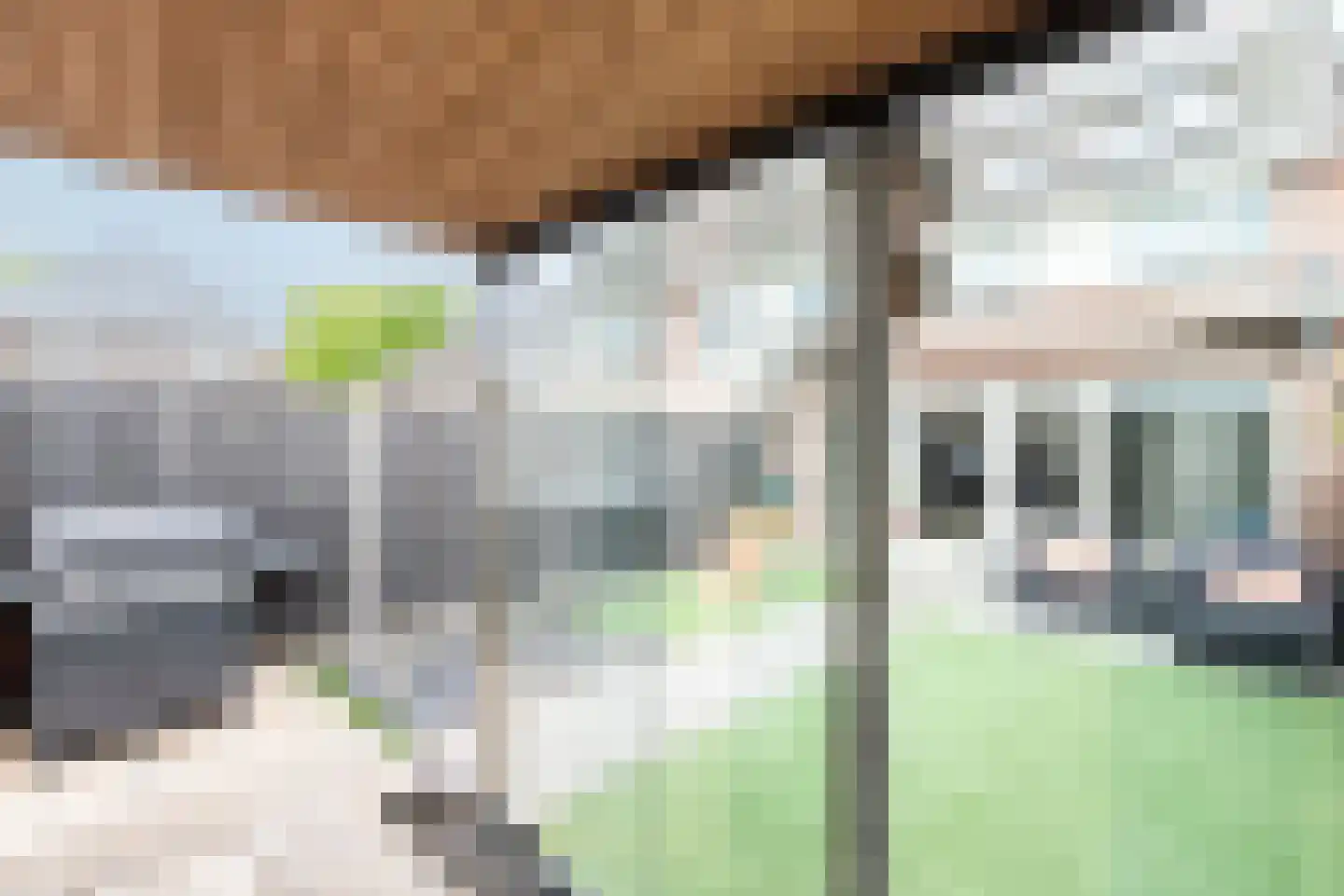 Pompenmaker 28 Oost West en Middelbeers thumbnail 32