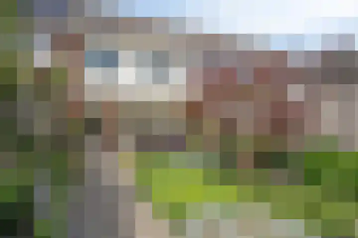 Pompenmaker 34 Oost West en Middelbeers thumbnail 29