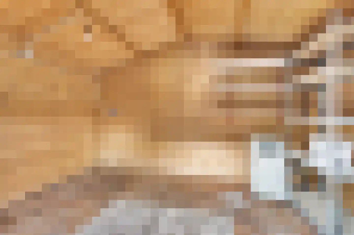 Pompenmaker 7 Beuningen Gld thumbnail 30