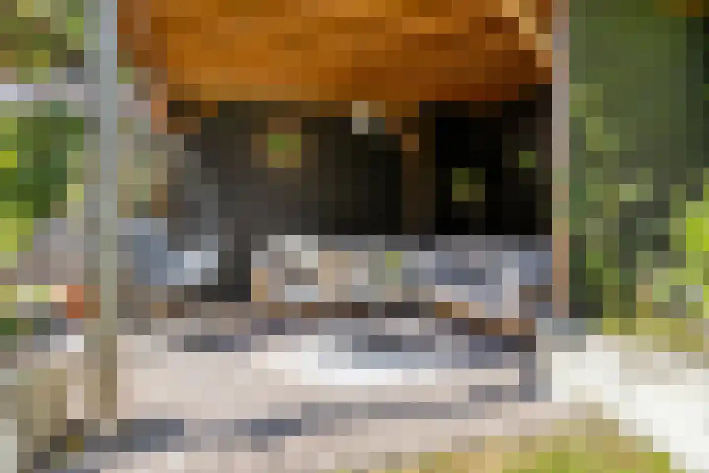 Pomperschans 54 Leende thumbnail 42