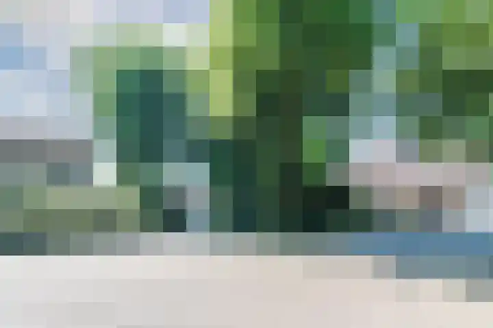 Pomperschans 76 Leende thumbnail 48