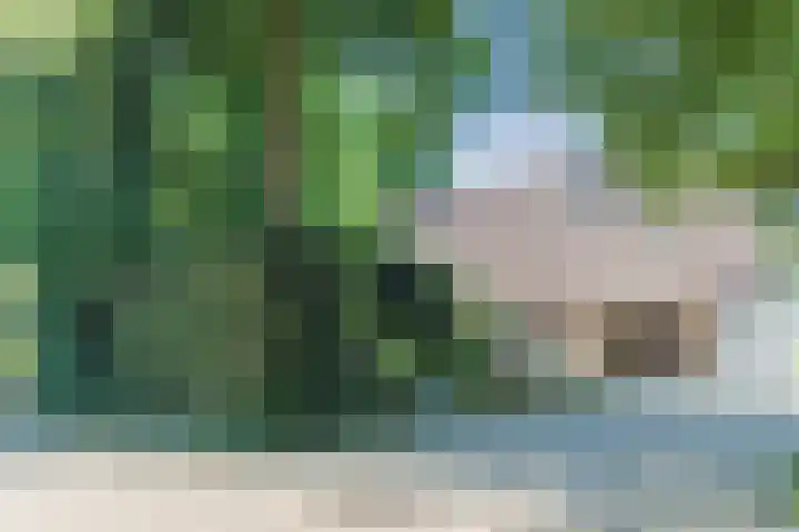 Pomperschans 76 Leende thumbnail 50