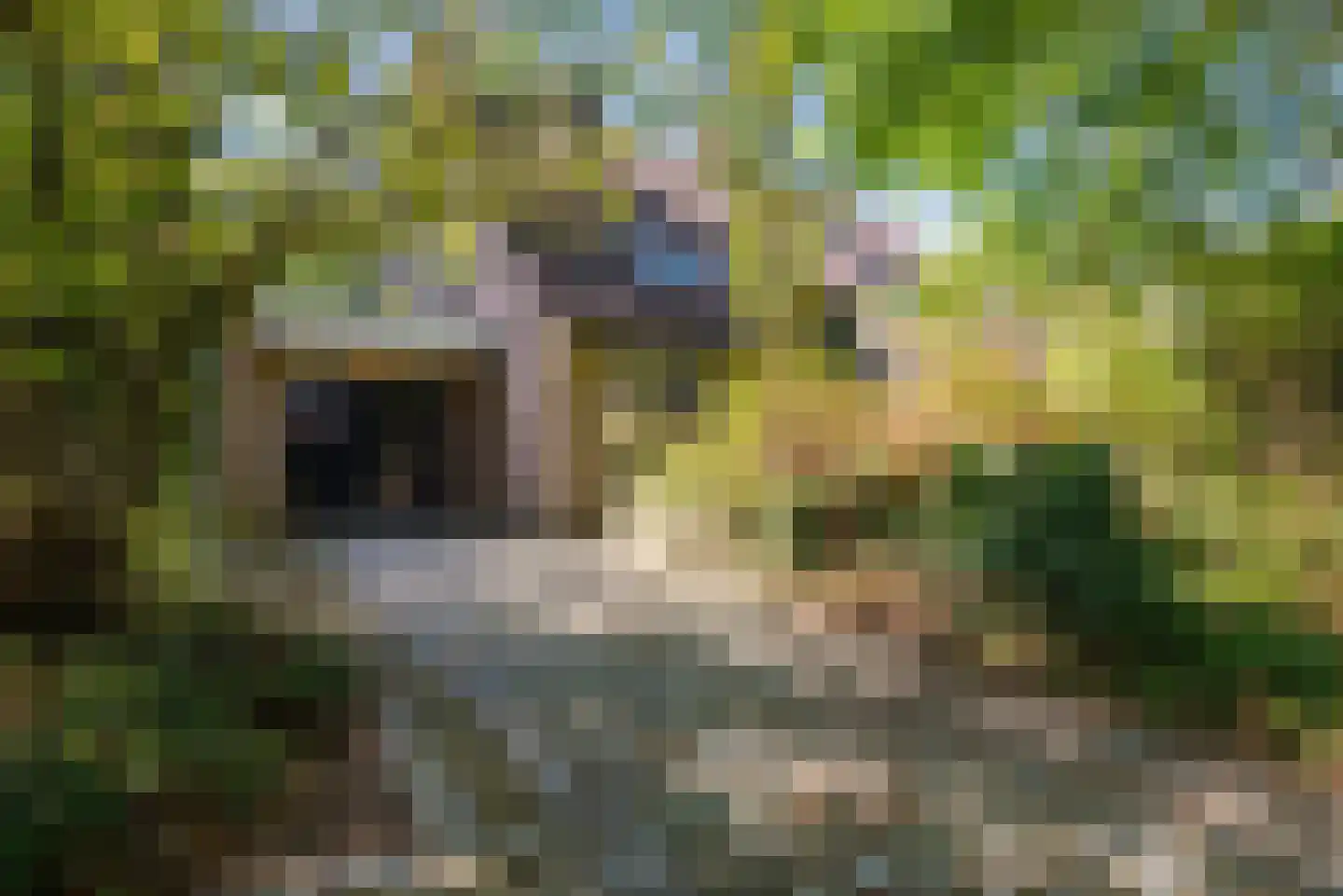 Pomperschans 78 Leende thumbnail 14