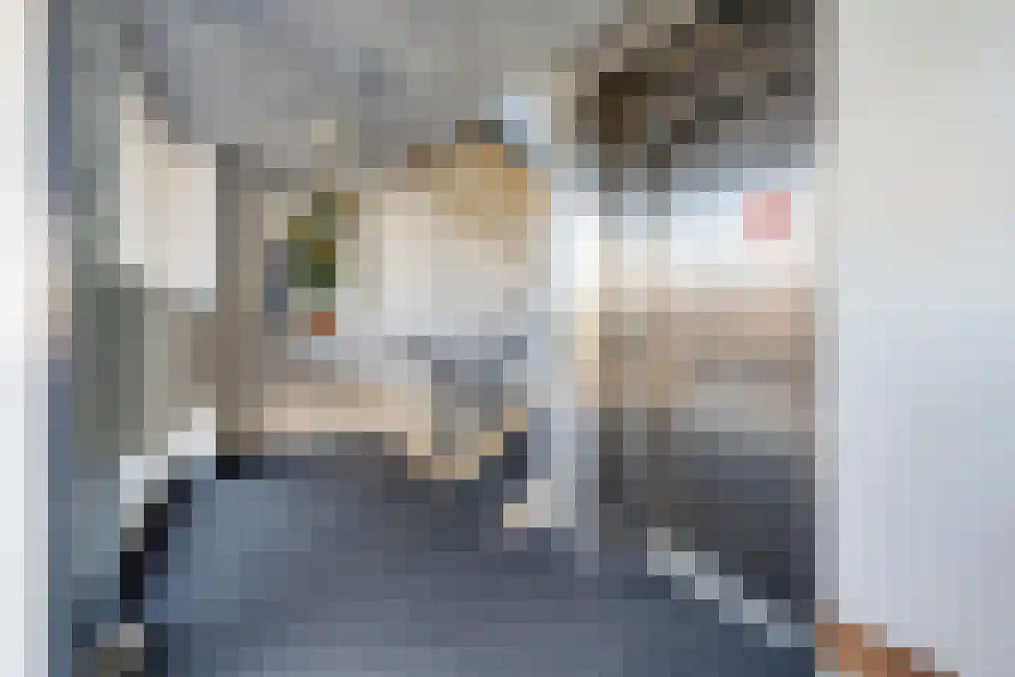 Pompesloot 66 Broek op Langedijk thumbnail 8