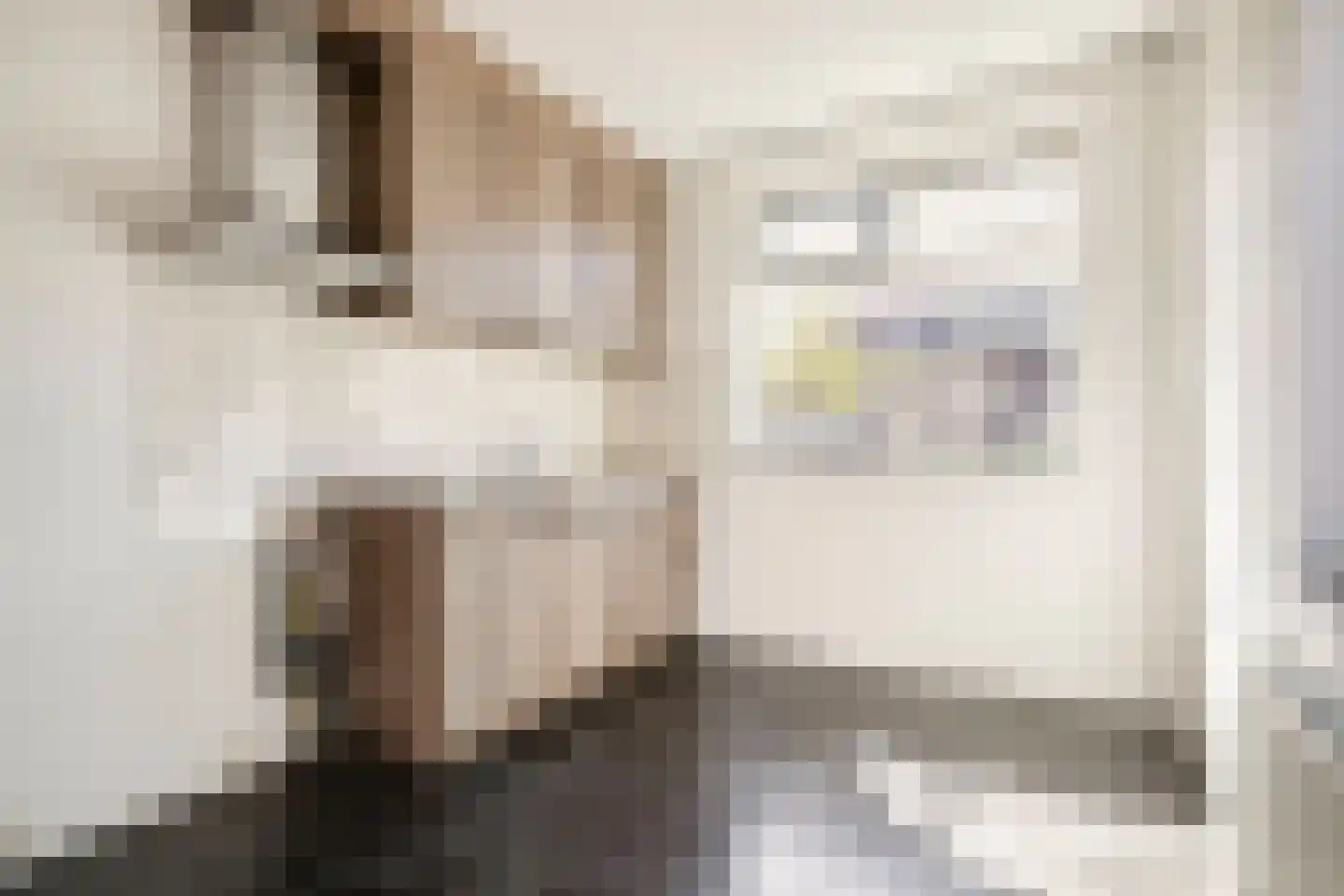 Pomphuislaan 21 Ede thumbnail 16